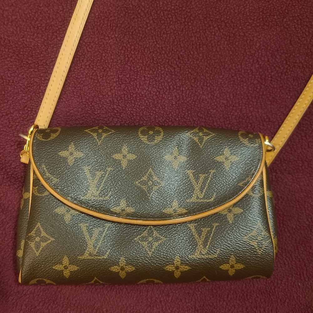 Louis Vuitton Monogram Pochette Friendly